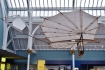 Hawk Glider